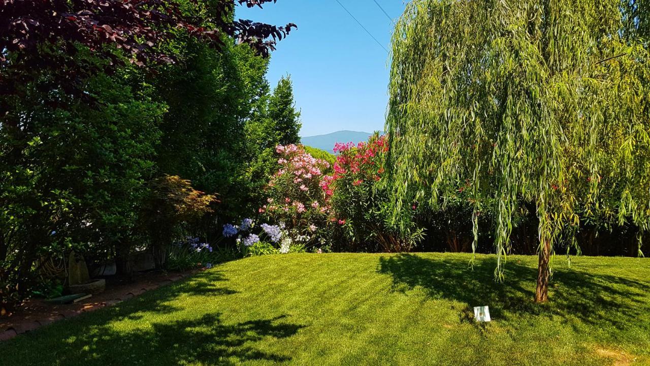 Asso Bed & Breakfast Манерба-дель-Гарда Екстер'єр фото